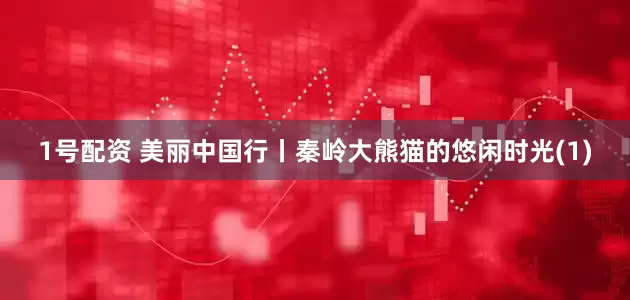 1号配资 美丽中国行丨秦岭大熊猫的悠闲时光(1)