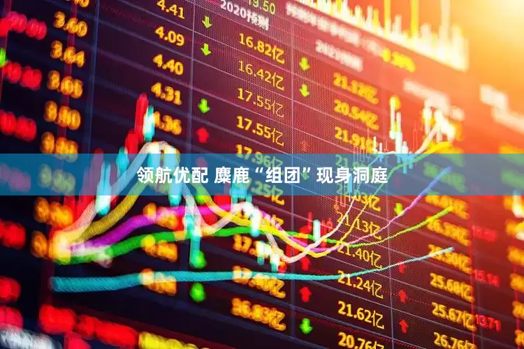 领航优配 麋鹿“组团”现身洞庭